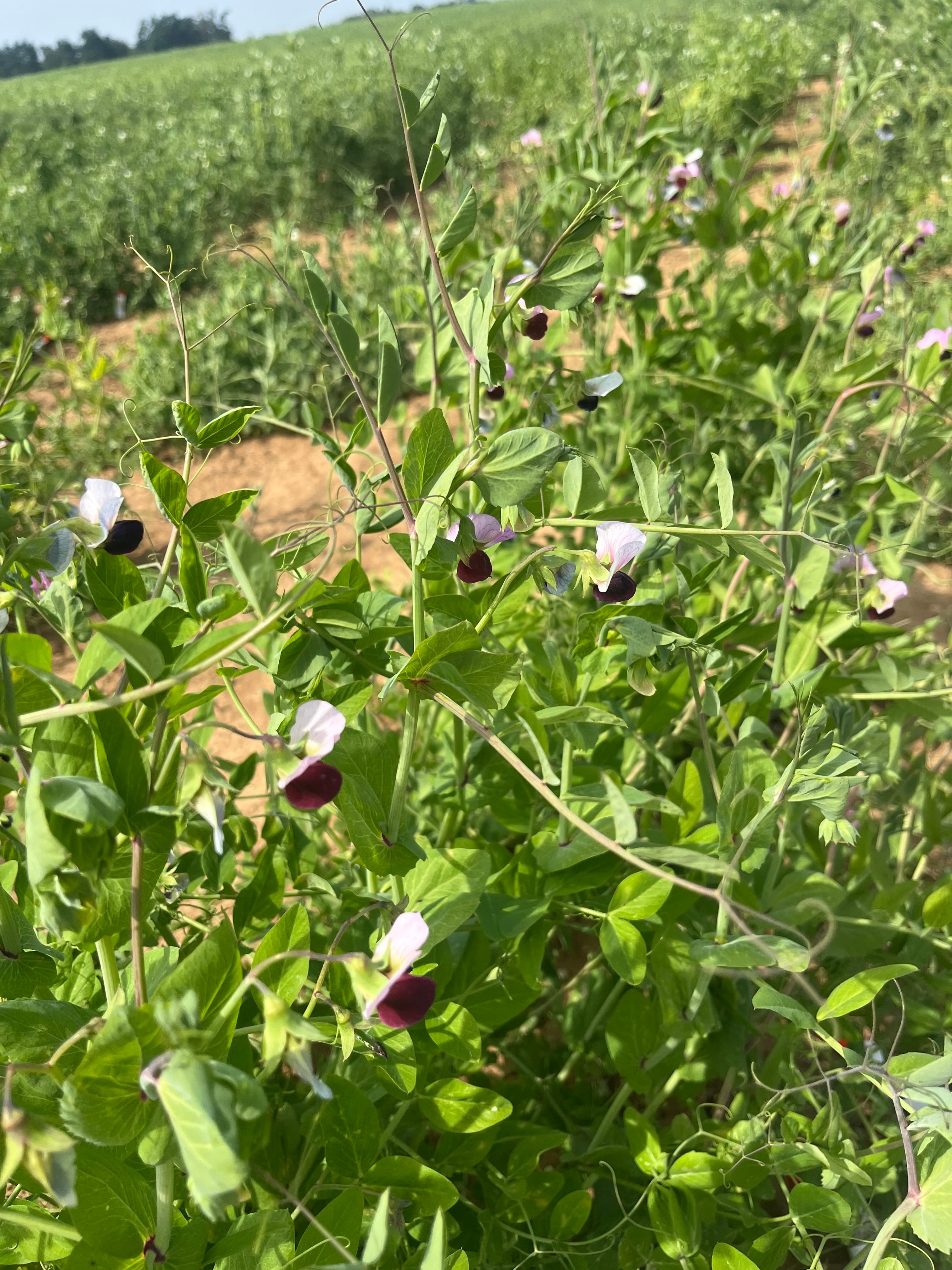 L'urgence d'un sursaut